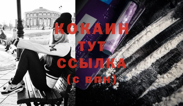 соль ск Кодинск