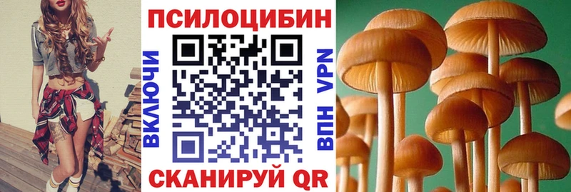 Галлюциногенные грибы Psilocybe  Купить  Балтийск 