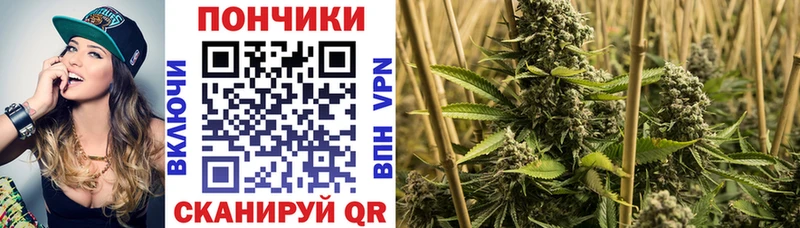Конопля Amnesia  Купить закладки  Балтийск 